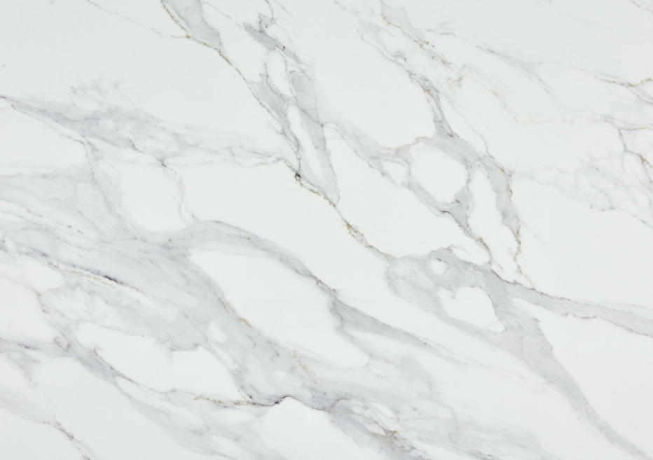 5902-CLOSE-UP-1.png
