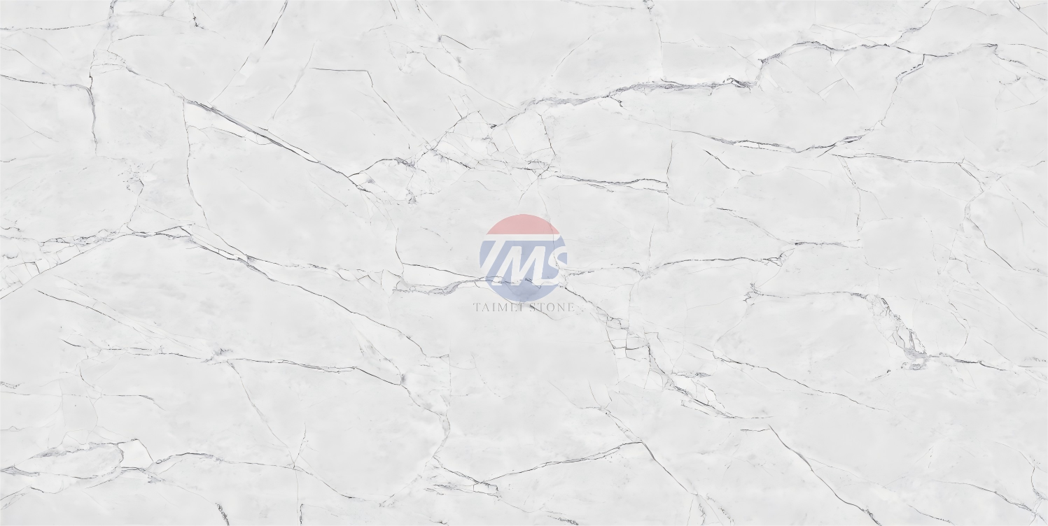 5955-S-2_-_副本.png