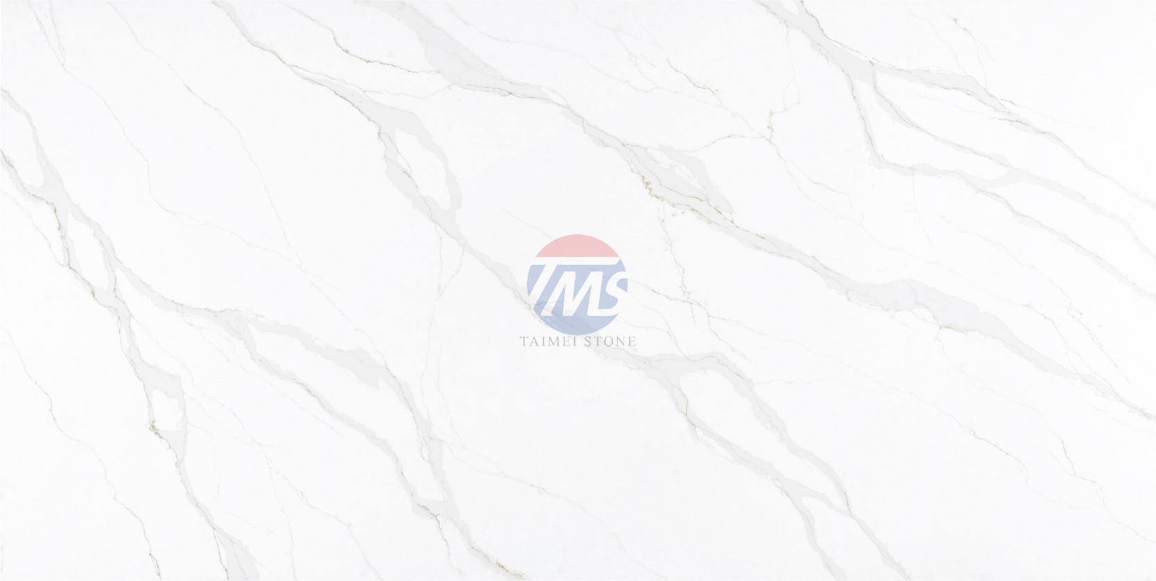 5136-S-1_-_副本.png