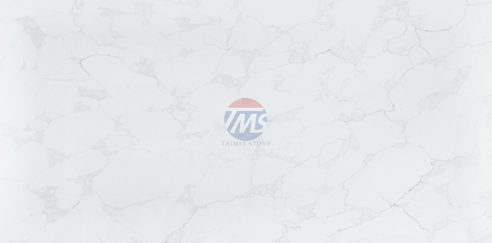 5109-S-2.png