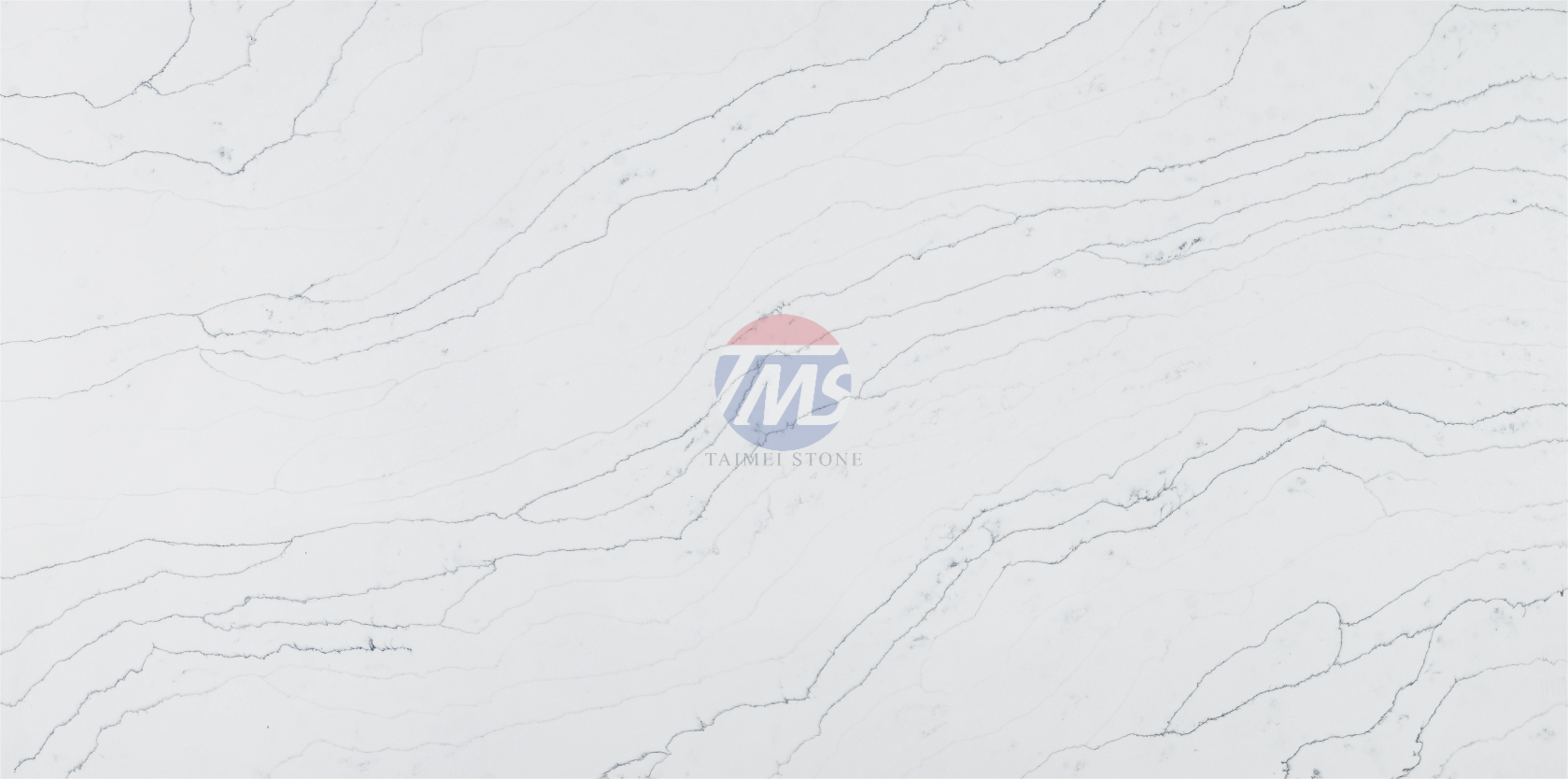 5113-S-2.png