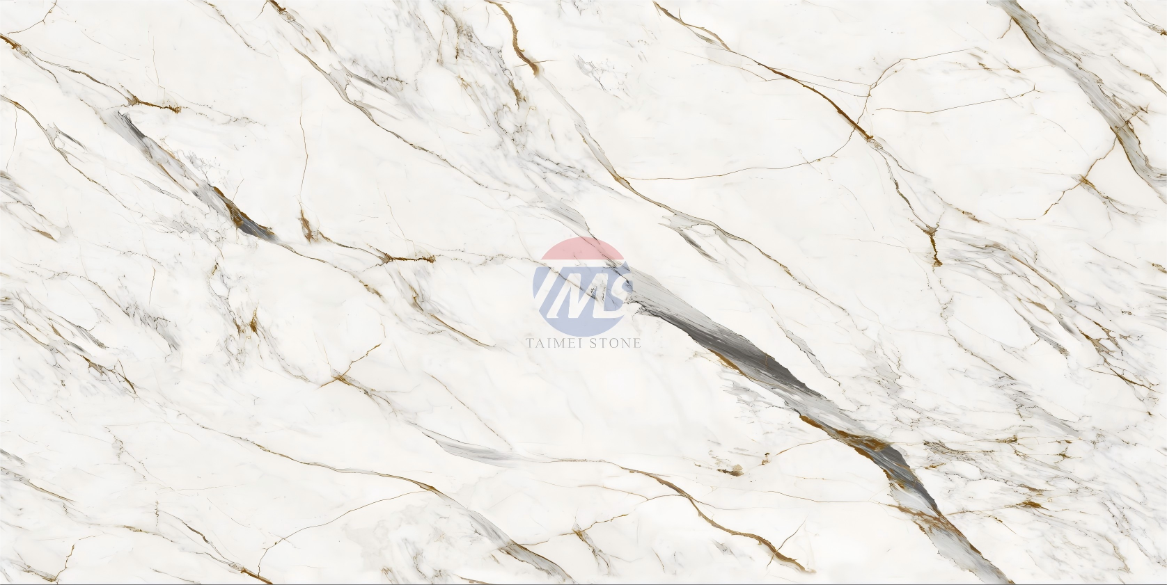 5916-S-2(1).png