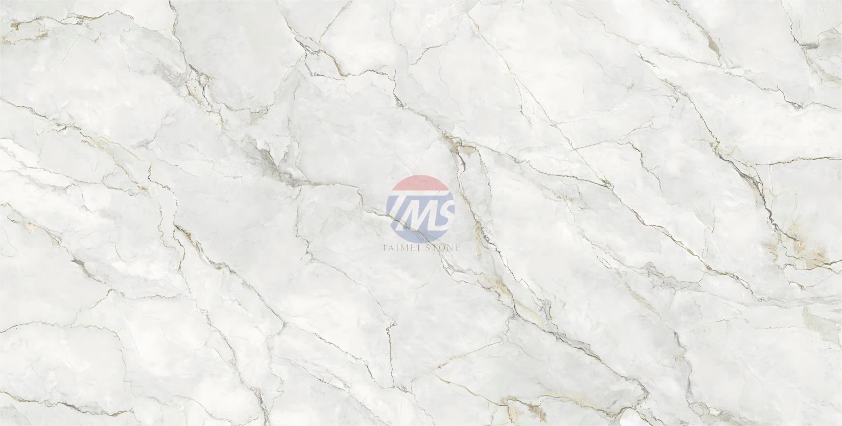 5956-S-1.png